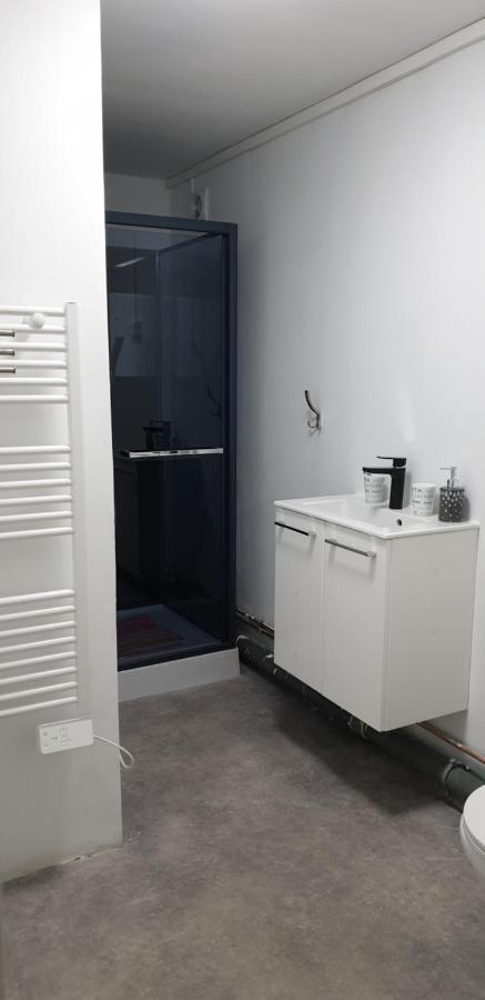 Studio, Chambres, Appartement, Gite Vendegies-sur-Ecaillon 外观 照片